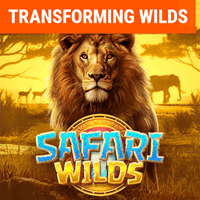 Wild Safari